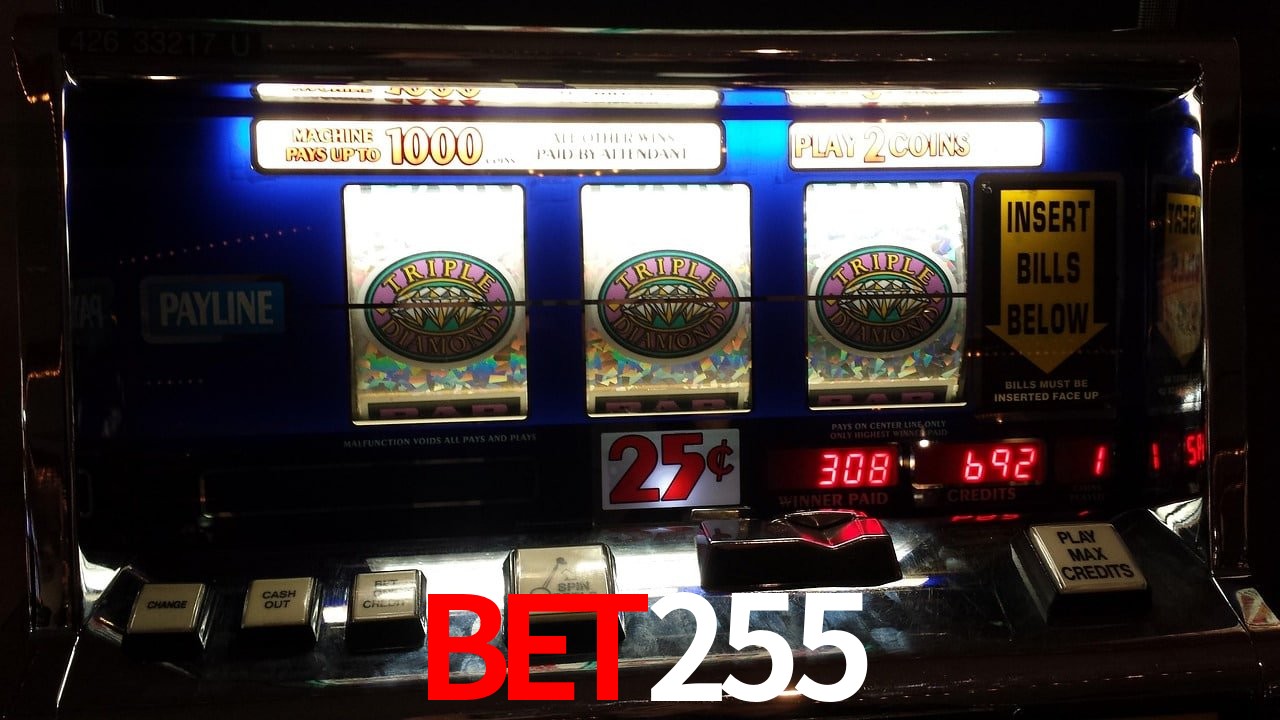 Experiência VIP BET255