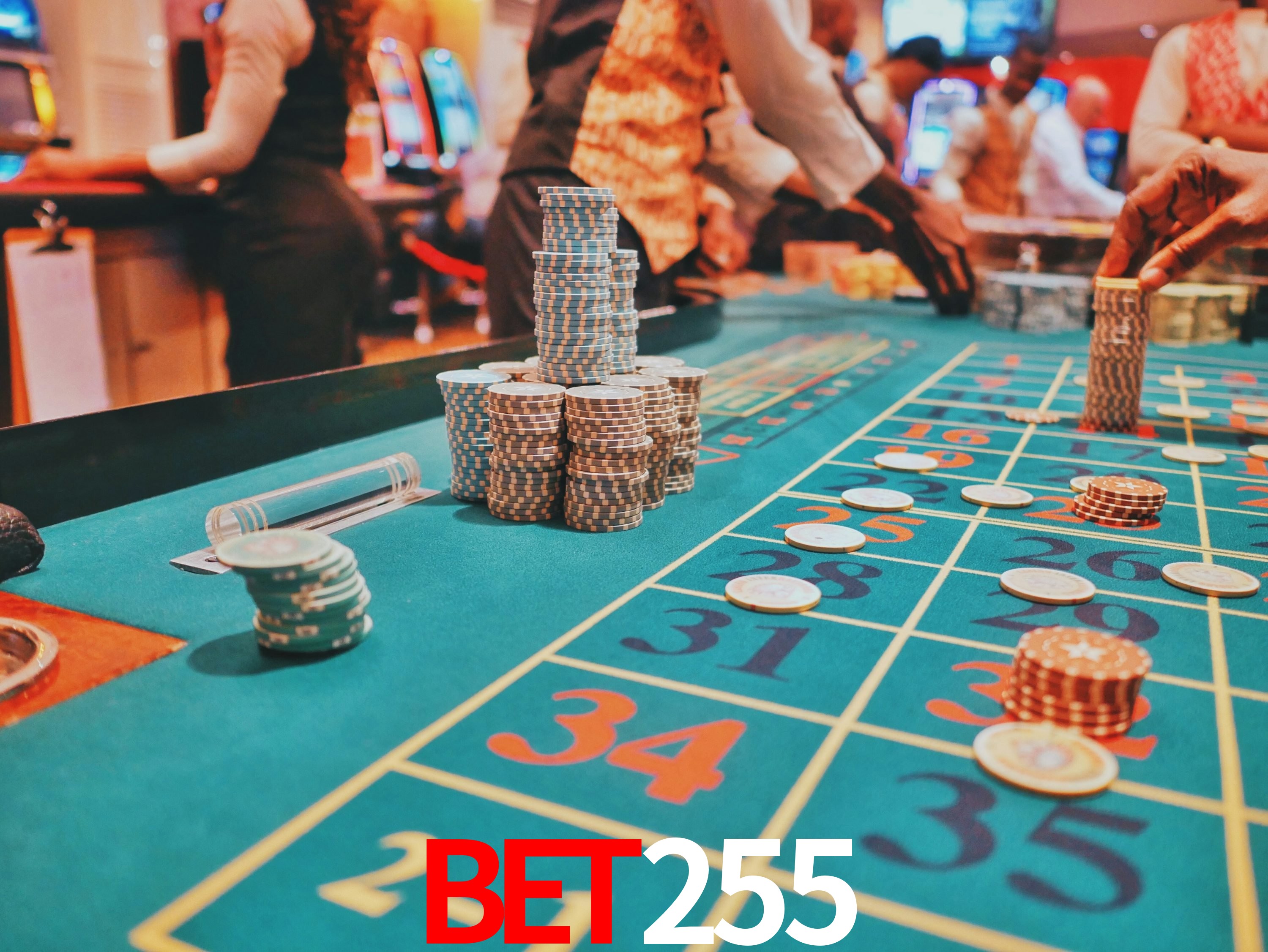 Avaliações dos Jogadores BET255