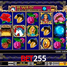 BET255 Cassino - 80+ Mesas ao Vivo