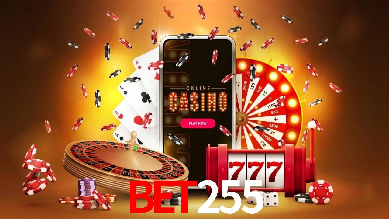 BET255 Salvador - Statistics