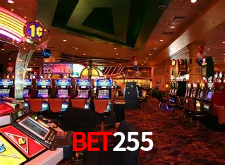 Descubra a Essência do BET255: Nossa História e Compromissos